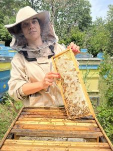 Натурален мед и пчелни продукти от "Медена Къща Михови" (с. Прилеп)