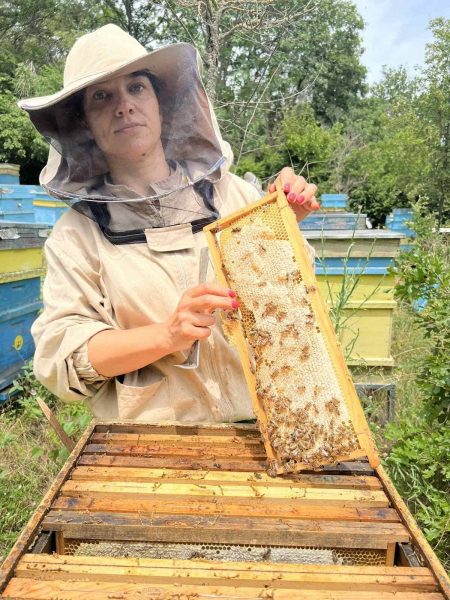 Натурален мед и пчелни продукти от "Медена Къща Михови" (с. Прилеп)