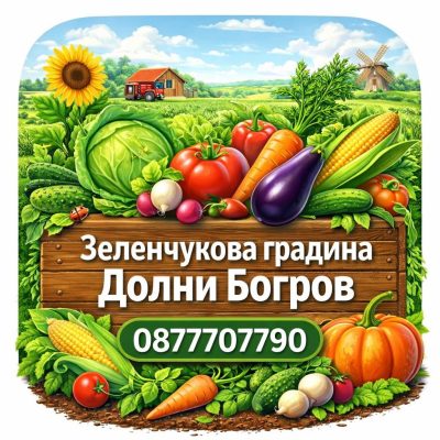 Долни Богров