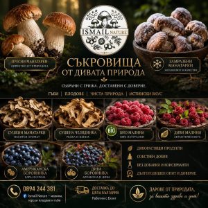 ISMAIL NATURE - Малини, горски плодове и гъби