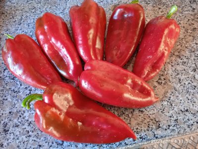 Прецизно подбрани устойчиви семена за зеленчуци от Agrobio Seed